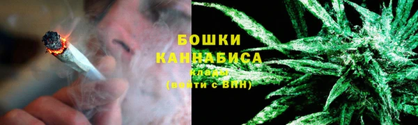 2c-b Пестово