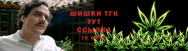 2c-b Пестово