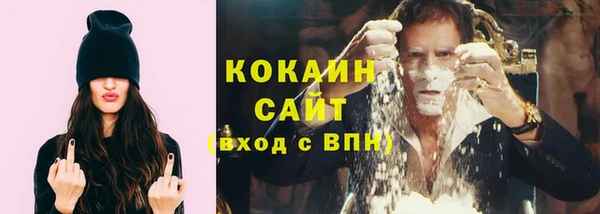 шишки Переславль-Залесский