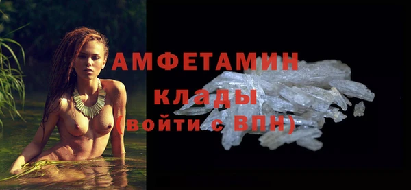шишки Переславль-Залесский