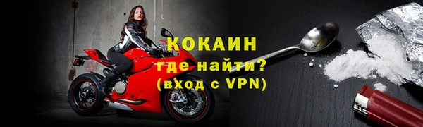 шишки Переславль-Залесский
