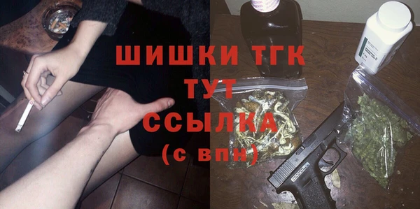 шишки Переславль-Залесский