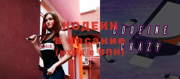 2c-b Пестово