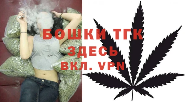 2c-b Пестово