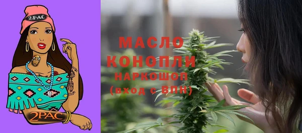 2c-b Пестово