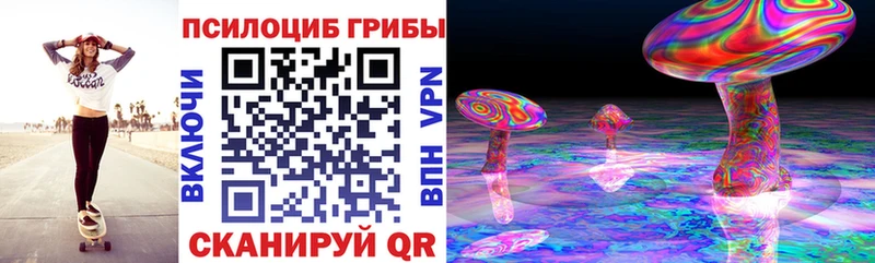 кракен зеркало  купить закладку  Тарко-Сале  Псилоцибиновые грибы Magic Shrooms 