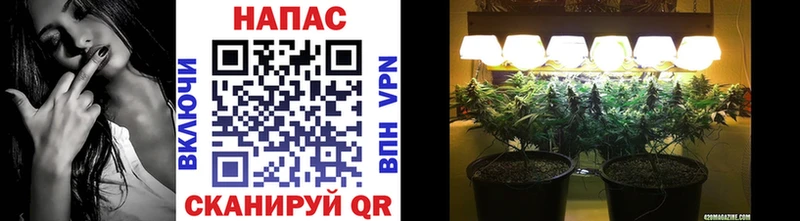 Бошки марихуана Bruce Banner Тарко-Сале